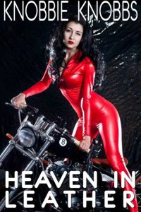 Heaven in Leather Cover